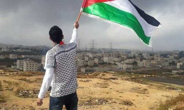 Un joven ondea la bandera de Palestina