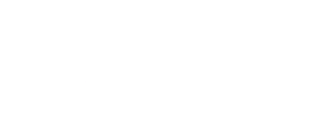 light logo